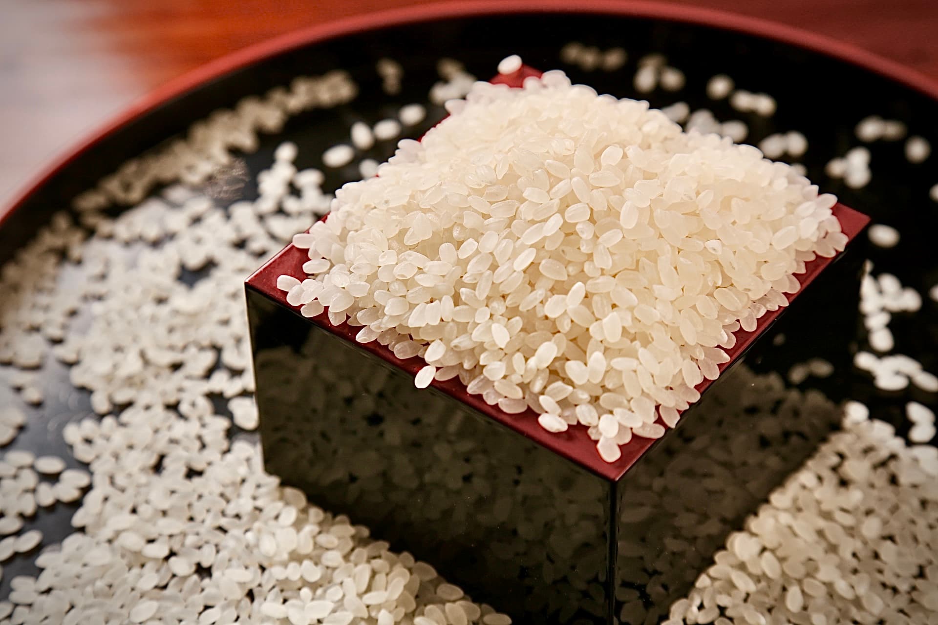 Rice